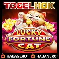 Lucky Fortune Cat